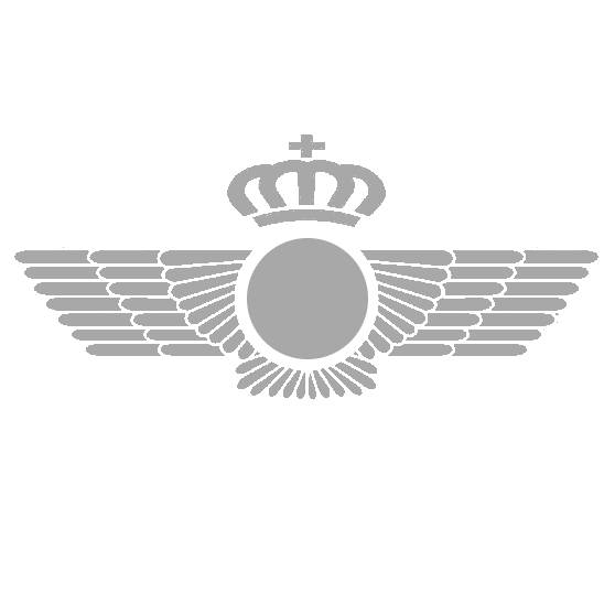 New Project (9) EJÉRCITO DEL AIRE